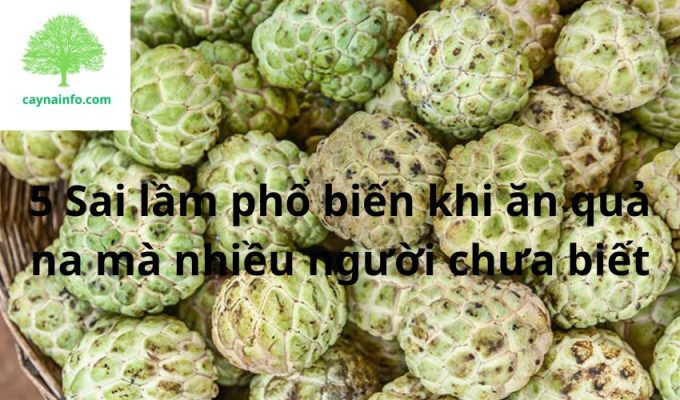 5 Sai lầm phổ biến khi ăn quả na mà nhiều người chưa biết