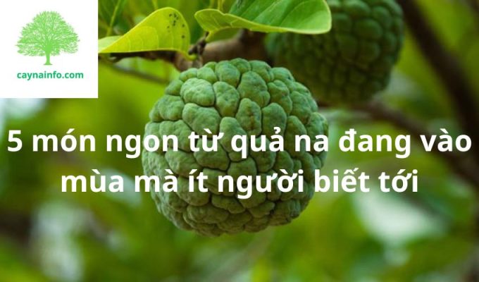 5 món ngon từ quả na đang vào mùa mà ít người biết tới