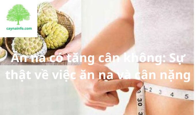 Ăn na có tăng cân không: Sự thật về việc ăn na và cân nặng