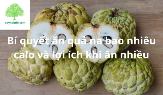 Bí quyết ăn quả na bao nhiêu calo và lợi ích khi ăn nhiều