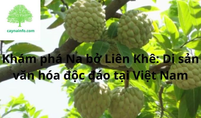 Khám phá Na bở Liên Khê: Di sản văn hóa độc đáo tại Việt Nam