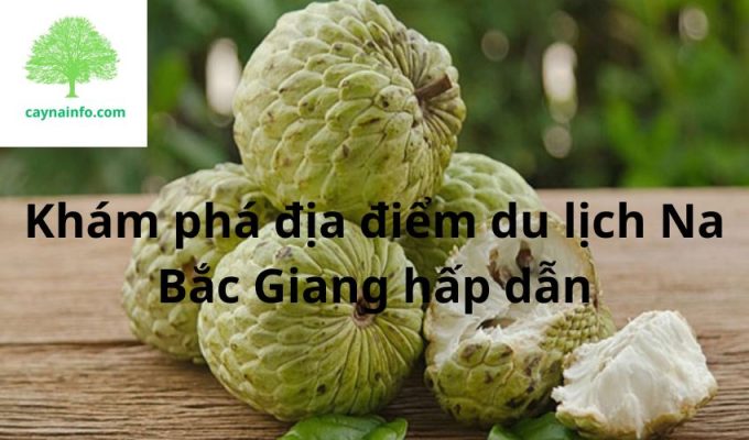 Khám phá địa điểm du lịch Na Bắc Giang hấp dẫn