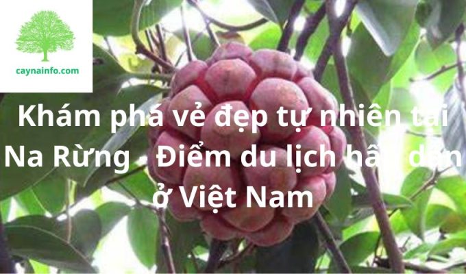 Khám phá vẻ đẹp tự nhiên tại Na Rừng - Điểm du lịch hấp dẫn ở Việt Nam