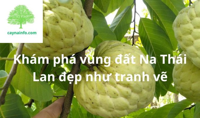 Khám phá vùng đất Na Thái Lan đẹp như tranh vẽ