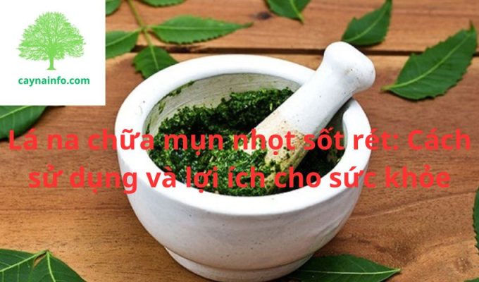 Lá na chữa mụn nhọt sốt rét: Cách sử dụng và lợi ích cho sức khỏe