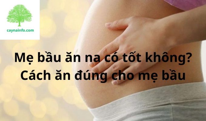 Mẹ bầu ăn na có tốt không? Cách ăn đúng cho mẹ bầu