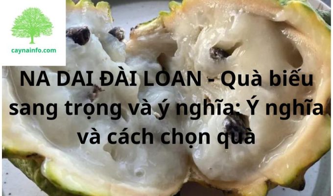 NA DAI ĐÀI LOAN - Quà biếu sang trọng và ý nghĩa: Ý nghĩa và cách chọn quà