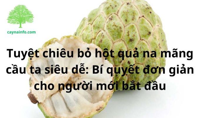 Tuyệt chiêu bỏ hột quả na mãng cầu ta siêu dễ: Bí quyết đơn giản cho người mới bắt đầu